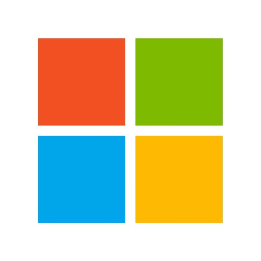 Microsoft Icon